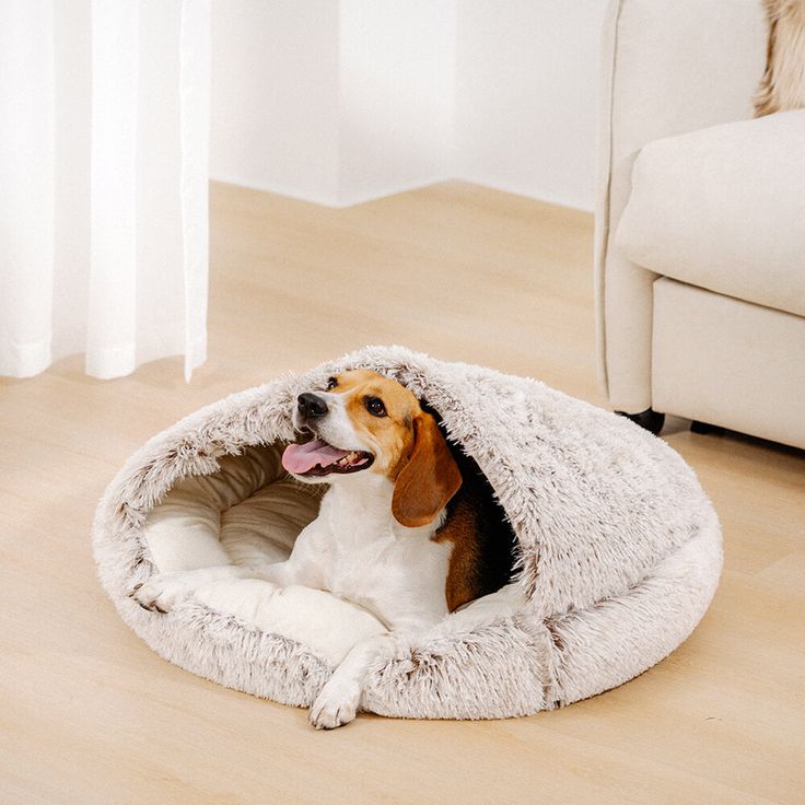 Plush Bed For Your Pets