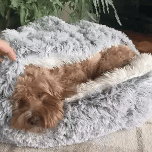 Plush Bed For Pets